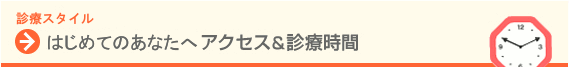 �A�N�Z�X���f�Î���
