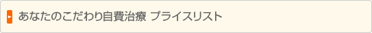 あなたのこだわり自費治療 プライスリスト