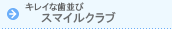 �X�}�C���N���u