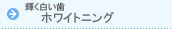 �z���C�g�j���O