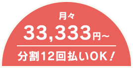 分割12回払いOK